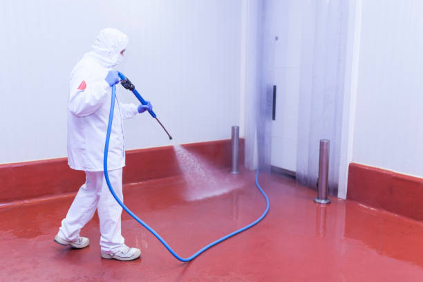 Best Warehouse Cleaning  in Bonsall, CA