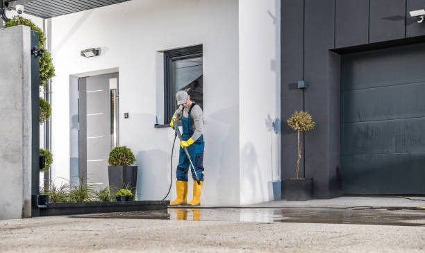 Best Soft Washing  in Bonsall, CA